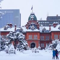 出行提示：日本北海道连续暴雪天气