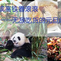 搭上西成高铁看滚滚—吃货的元旦成都逛吃小记