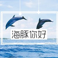 与鲸鲨同游，还有沙丁鱼风暴？这4个海豚圣地好玩到你不想走