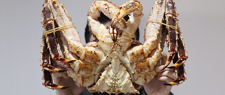 收到一只5斤重的活帝王蟹 要怎么办 在线等 蟹类 什么值得买