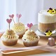 提拉米苏cupcakes + 奶盖拿铁—情人节在家试试吧