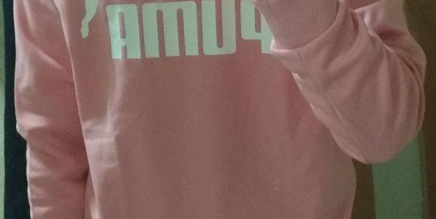 海淘的服装篇一 原创新人 韩国现代百货第一次买puma 彪马卫衣晒单 男士卫衣 什么值得买