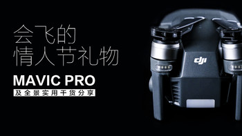 会飞的情人节礼物—DJI 大疆 御 MAVIC PRO 无人机 及全景实用干货分享