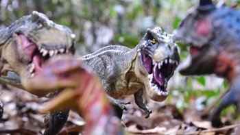 #2017剁手回忆录#恐龙玩具入坑选购指南，晒晒给儿子买的仿真恐龙们！