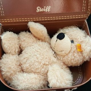 #剁主计划-苏州#第一份生日礼物：亚马逊之德国海外购首单Steiff 泰迪熊 开箱