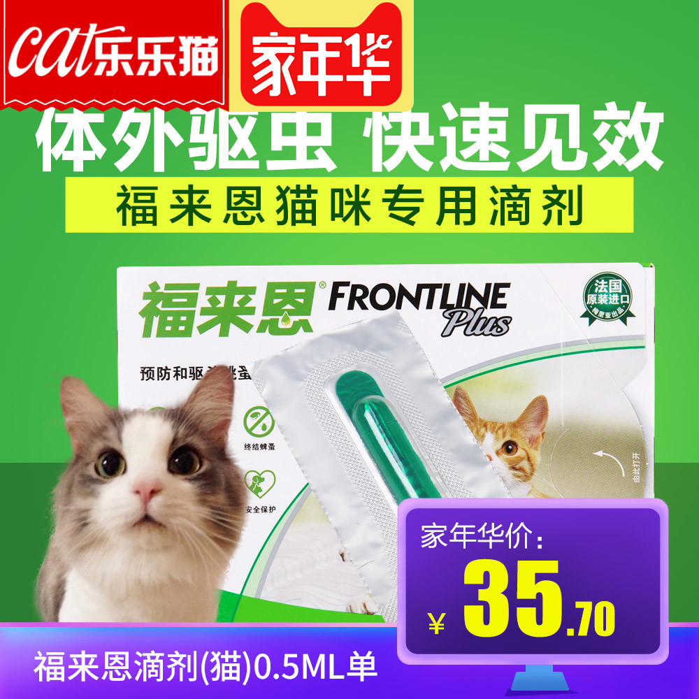 写给青铜铲屎官：第一次养猫需要准备什么？