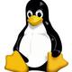 #原创新人#如何优雅地使用Linux系统作为办公环境？