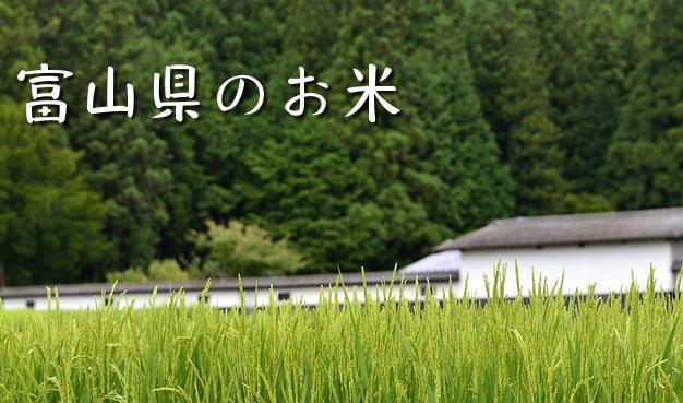 味千拉面30元一斤的日本大米值不值得买