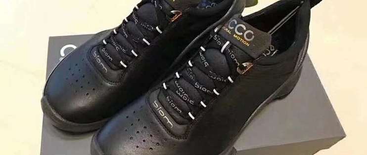 ecco 091504