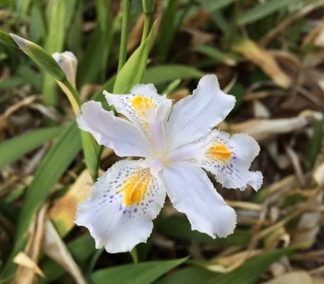 #原创新人#油痘皮用过的护肤品使用感受