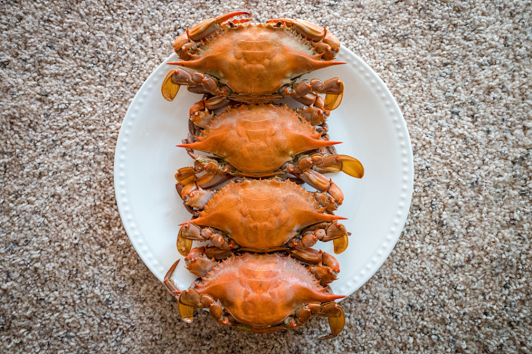 冷冻海蟹一定比鲜食差 线上海蟹种类盘点 蟹类 什么值得买