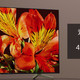 花大钱了，Hold住我的客厅：Sony 索尼 X8566F 65寸4K电视体验