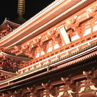 游记攻略 篇二：东京大阪7日非典型佛系游记（二）