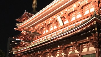 游记攻略 篇二：东京大阪7日非典型佛系游记（二） 