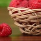  初夏的树莓派——RaspberryPi 3B+开箱　