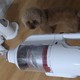  Puppy 小狗 T10 PRO 无线吸尘器开箱晒物与使用简评　