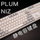 不买静电容怎么退烧？—PLUM NIZ 静电容键盘35g使用评测！