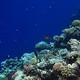 从深水恐惧到在“西奈潜水员之墓”完成潜水—红海OW考证经历和蓝洞潜水体