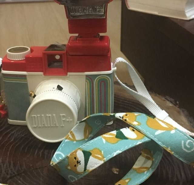 女王大人的新玩具 lomo Diana F+ 120 F+ 戴安娜 120胶卷相机