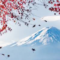 日本红叶季前瞻，现在买机票到底可以省多少钱？