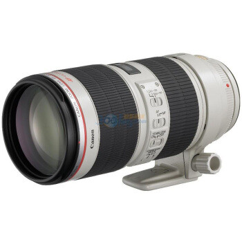 爱死小白兔：Cacon 佳能 镜头70-200mm f/2.8L IS II USM还值得买吗？