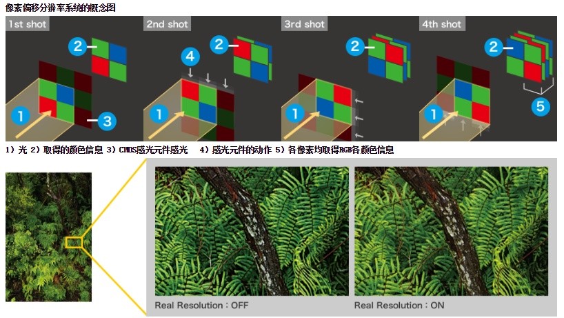 一入宾得深似海 小众品牌相机推荐之理光映像篇