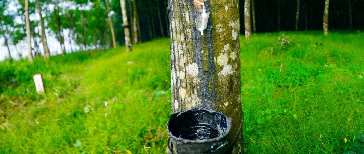  《材质》No.5当红床垫/睡枕/腰靠最火材质，乳胶怎么买才算对？