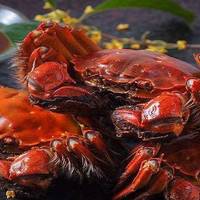 除了大闸蟹，还有哪些值得吃的螃蟹？秋季吃蟹指南来了！