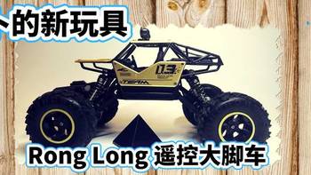 萝卜的新玩具 篇一：Rong Long 遥控大脚车