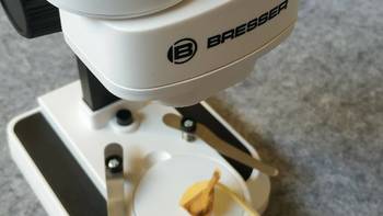 小博物学家的玩具—果壳 Bresser 宝视德体视显微镜初体验
