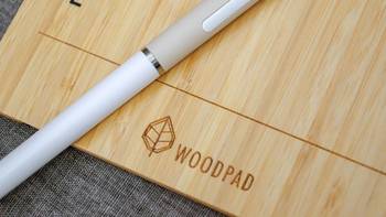 PP闪测 篇七：意外惊喜——优派 WoodPad 10 