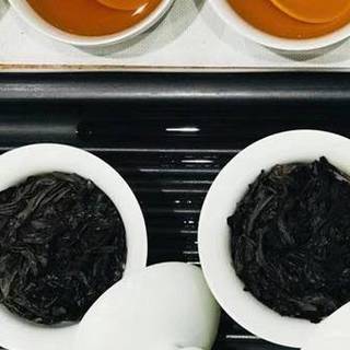 【照曦说茶·泡茶篇】茶艺太难Hold不住？别怕，先把这几个泡茶关键点抓稳喽！