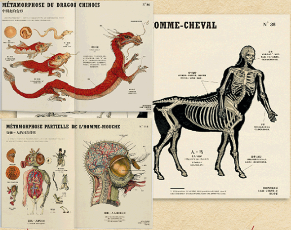 遇书坊63期：又到双12，这些有关神秘动物的书了解一下