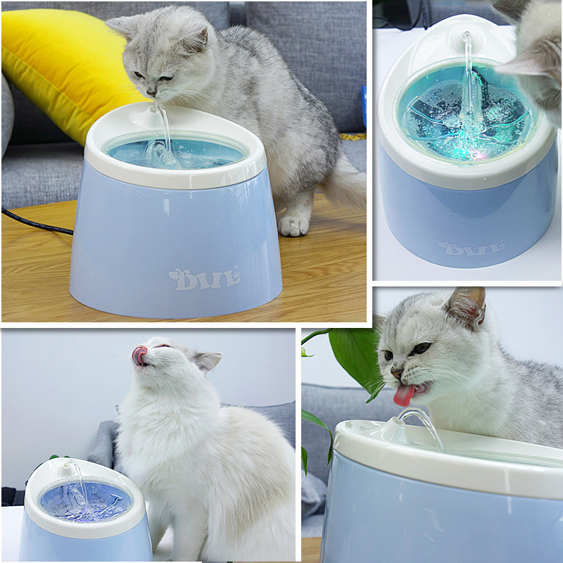宠物饮水机怎么挑—两猫亲测四款饮水机