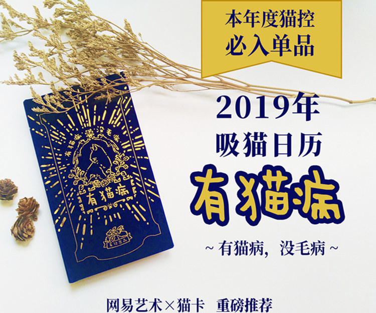 2019最文艺范儿的高颜值吸猫日历：有猫病，没毛病！猫控开箱测评