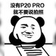 骚机日报：手机打鸟不是梦 华为P30Pro或将搭载潜望式镜头