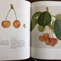 书中自有美味 篇二：吃货的博物书籍介绍：餐后水果哪里来