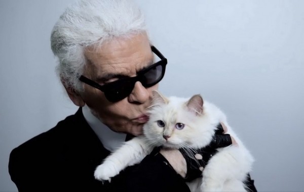 Karl Lagerfeld 价值 2.37 亿美元遗产或将由爱猫 Choupette 继承