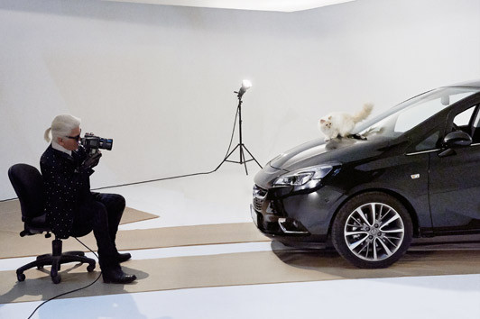 Karl Lagerfeld 价值 2.37 亿美元遗产或将由爱猫 Choupette 继承