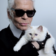 Karl Lagerfeld 价值 2.37 亿美元遗产或将由爱猫 Choupette 继承