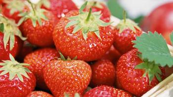 蔬菜种植 篇一：草莓的籽怎么种植（季节和方法）