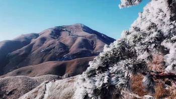 登山装备之—护膝篇