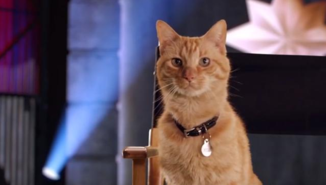 一周值影快报第158期漫威宇宙最强女英雄上线惊奇队长能否逆转无限票