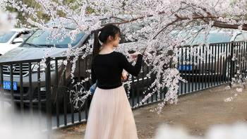 自学摄影，随走随拍记录生活 篇十八：与春天相约，北京花朝节汉服小姐姐的快乐记录 