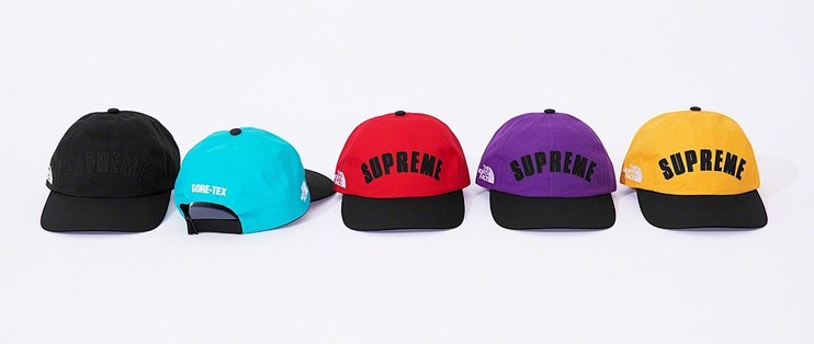 supreme north face 2019