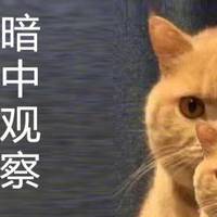 猫爪杯好看，但更好看的是……