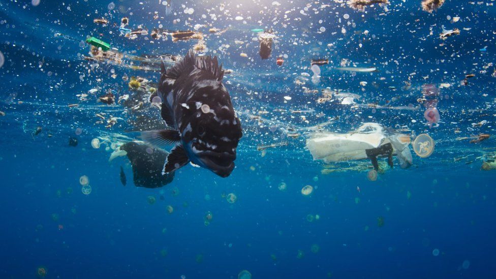 「1分钟表态」Vol.6：ORIS 塑料后盖潜水表 生命和绿色拥抱 环境与时计共存