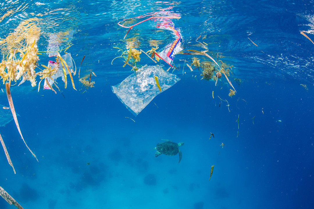「1分钟表态」Vol.6：ORIS 塑料后盖潜水表 生命和绿色拥抱 环境与时计共存