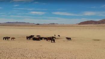 我在纳米比亚转了个圈 篇四：什么？沙漠里也能骑自行车？ 