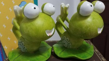 两只小青蛙啊，呱呱~（多图）